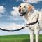 Harnais et laisse pour chien Easy Walk™ PetSafe